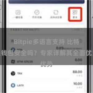 Bitpie多语言支持 比特派钱包安全吗？专家详解其全面优势