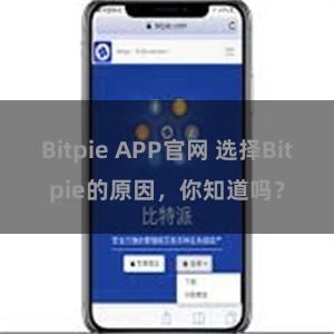 Bitpie APP官网 选择Bitpie的原因，你知道吗？