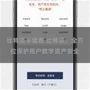 比特派手续费 比特派：全方位保护用户数字资产安全