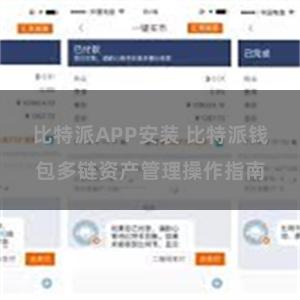 比特派APP安装 比特派钱包多链资产管理操作指南