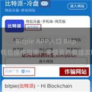 Bitpie APP入口 Bitpie钱包操作指南：多链资产管理攻略