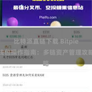 比特派直链下载 Bitpie钱包操作指南：多链资产管理攻略