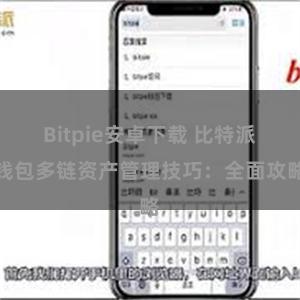 Bitpie安卓下载 比特派钱包多链资产管理技巧：全面攻略