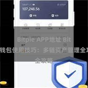 Bitpie APP地址 Bitpie钱包使用技巧：多链资产管理全攻略