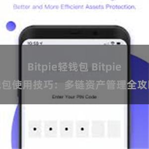 Bitpie轻钱包 Bitpie钱包使用技巧：多链资产管理全攻略