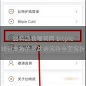 比特派教程官网 Bitpie钱包支持的区块链网络全面解析