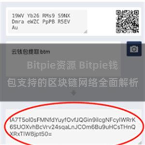 Bitpie资源 Bitpie钱包支持的区块链网络全面解析