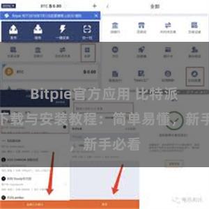 Bitpie官方应用 比特派钱包下载与安装教程：简单易懂，新手必看