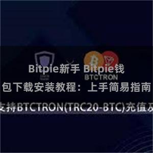 Bitpie新手 Bitpie钱包下载安装教程：上手简易指南