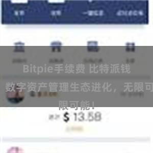 Bitpie手续费 比特派钱包：数字资产管理生态进化，无限可能！