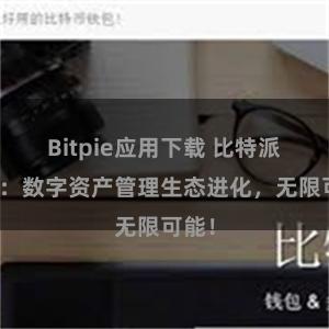 Bitpie应用下载 比特派钱包：数字资产管理生态进化，无限可能！