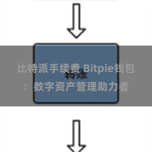 比特派手续费 Bitpie钱包：数字资产管理助力者