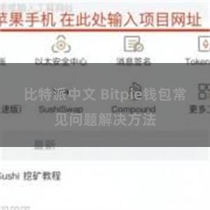 比特派中文 Bitpie钱包常见问题解决方法