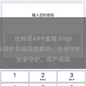 比特派APP直链 Bitpie钱包隐私保护功能深度解析：安全守护，资产保障