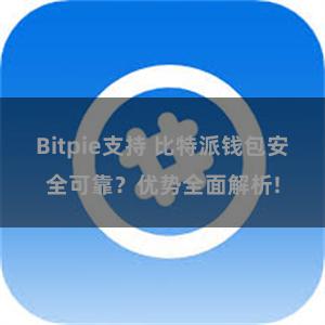 Bitpie支持 比特派钱包安全可靠？优势全面解析!