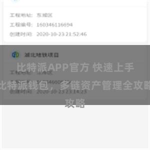 比特派APP官方 快速上手比特派钱包，多链资产管理全攻略