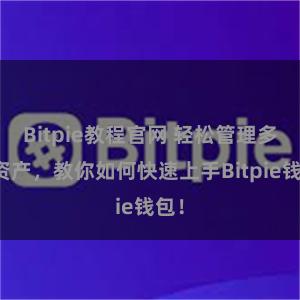 Bitpie教程官网 轻松管理多链资产，教你如何快速上手Bitpie钱包！