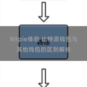 Bitpie体验 比特派钱包与其他钱包的区别解析