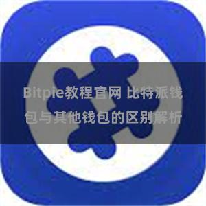 Bitpie教程官网 比特派钱包与其他钱包的区别解析