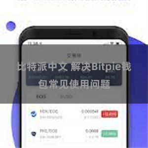 比特派中文 解决Bitpie钱包常见使用问题