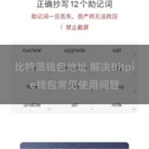 比特派钱包地址 解决Bitpie钱包常见使用问题