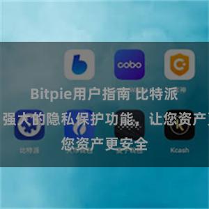 Bitpie用户指南 比特派钱包：强大的隐私保护功能，让您资产更安全