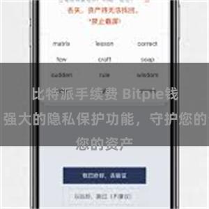 比特派手续费 Bitpie钱包：强大的隐私保护功能，守护您的资产