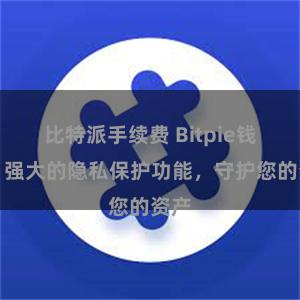 比特派手续费 Bitpie钱包：强大的隐私保护功能，守护您的资产