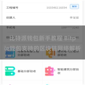 比特派钱包新手教程 Bitpie钱包支持的区块链网络解析