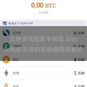 比特派钱包新手教程 Bitpie钱包支持的区块链网络解析