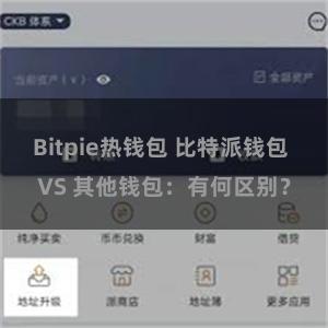 Bitpie热钱包 比特派钱包 VS 其他钱包：有何区别？