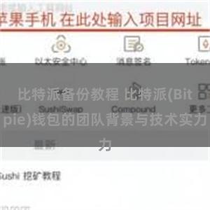 比特派备份教程 比特派(Bitpie)钱包的团队背景与技术实力