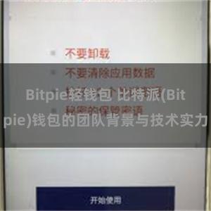 Bitpie轻钱包 比特派(Bitpie)钱包的团队背景与技术实力