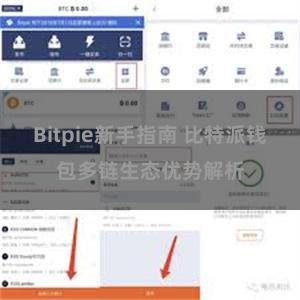 Bitpie新手指南 比特派钱包多链生态优势解析