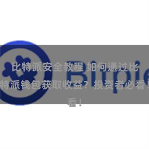 比特派安全教程 如何通过比特派钱包获取收益？投资者必看！