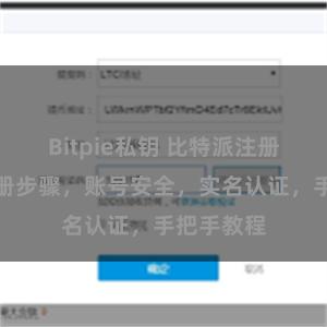 Bitpie私钥 比特派注册详解：注册步骤，账号安全，实名认证，手把手教程