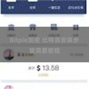 Bitpie加密 比特派安装步骤简要教程