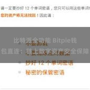 比特派全功能 Bitpie钱包直连：链上数字资产安全保障