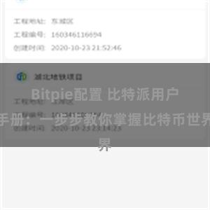 Bitpie配置 比特派用户手册：一步步教你掌握比特币世界