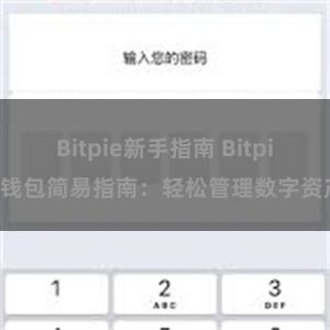 Bitpie新手指南 Bitpie钱包简易指南：轻松管理数字资产