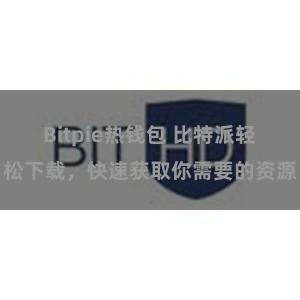 Bitpie热钱包 比特派轻松下载，快速获取你需要的资源
