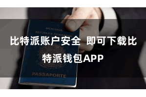 比特派账户安全  即可下载比特派钱包APP